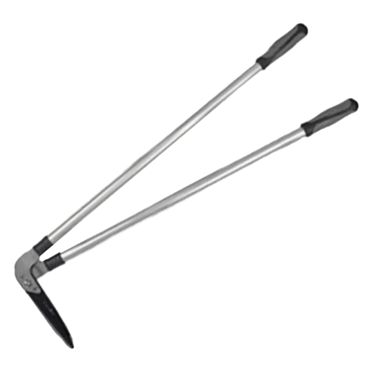 MRS Seeds & Mixtures Akkerflora 10-tal 10 MRS Seeds & Mixtures Akkerflora 10-tal - Afbeelding 10