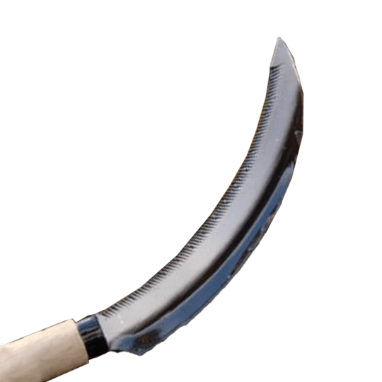 De Wiltfang Sikkel 2 De Wiltfang Sikkel - Afbeelding 2