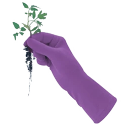 De Wiltfang Foxgloves Original -Goedkope Ecostyle winkel image 277