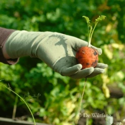 De Wiltfang Foxgloves Original -Goedkope Ecostyle winkel image 283