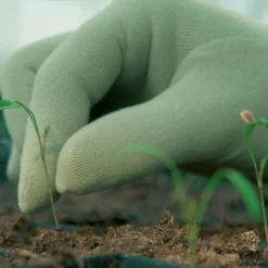 De Wiltfang Foxgloves Original -Goedkope Ecostyle winkel image 284