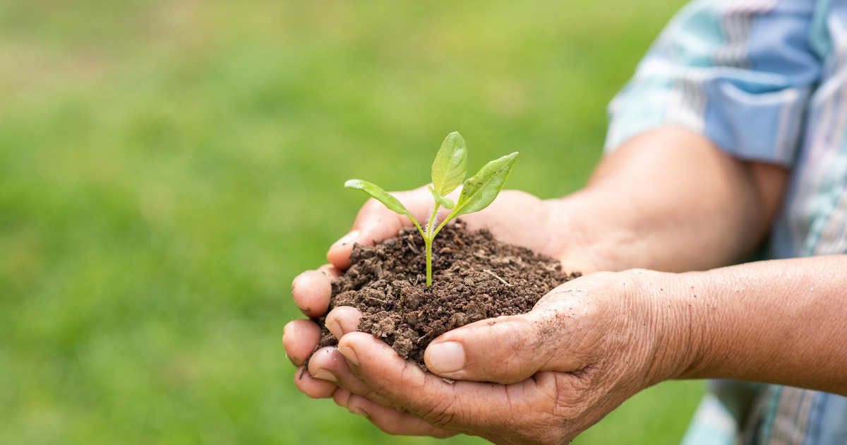 Goedkope Ecostyle winkel -Goedkope Ecostyle winkel organische meststoffen 8d6c3609